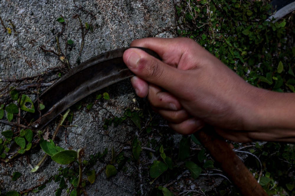 Marines volunteer in vine removal event to aide Okinawa City residents