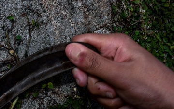 Marines volunteer in vine removal event to aide Okinawa City residents