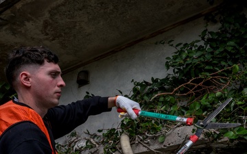 Marines volunteer in vine removal event to aide Okinawa City residents