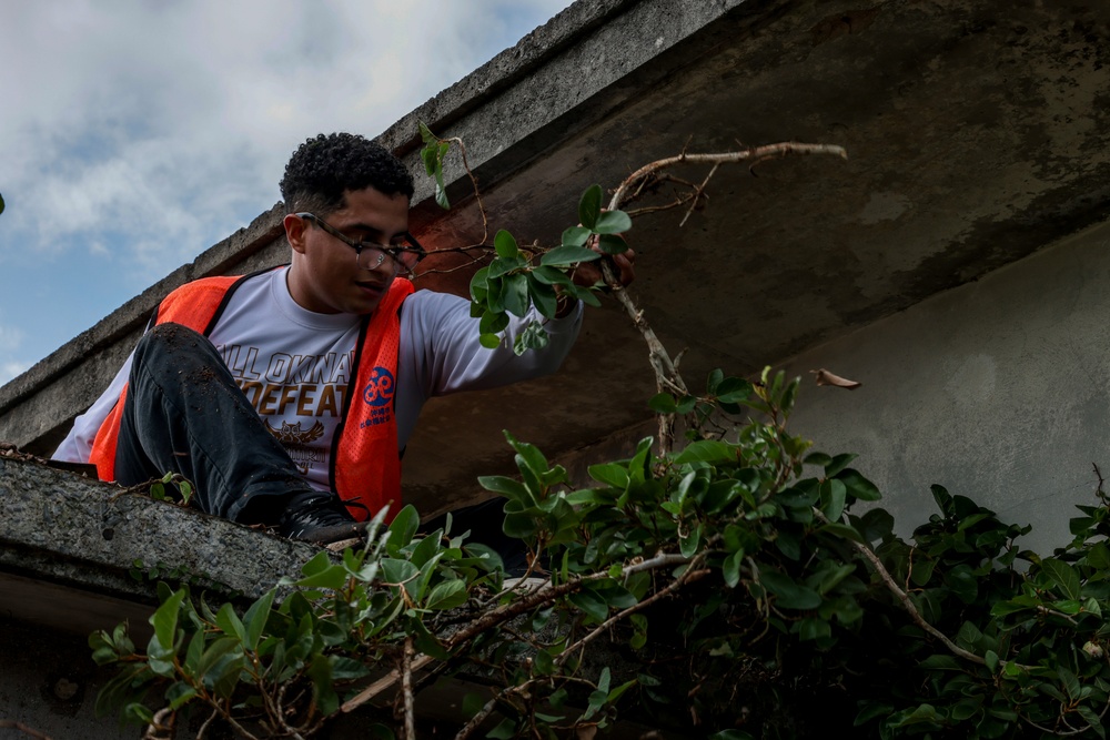 Marines volunteer in vine removal event to aide Okinawa City residents