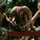 412th Civil Affairs Battalion leader reaction course 412th Civil Affairs Battalion leader reaction course