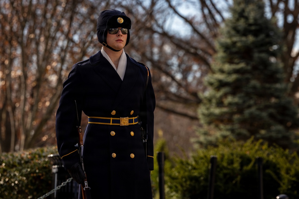 Command Sgt. Maj. Brandsasse Lays a Wreath at the Tomb of the Unknown Soldier