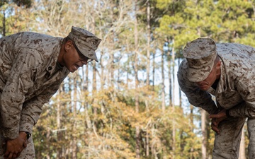 Hotel Company Day Movement Course