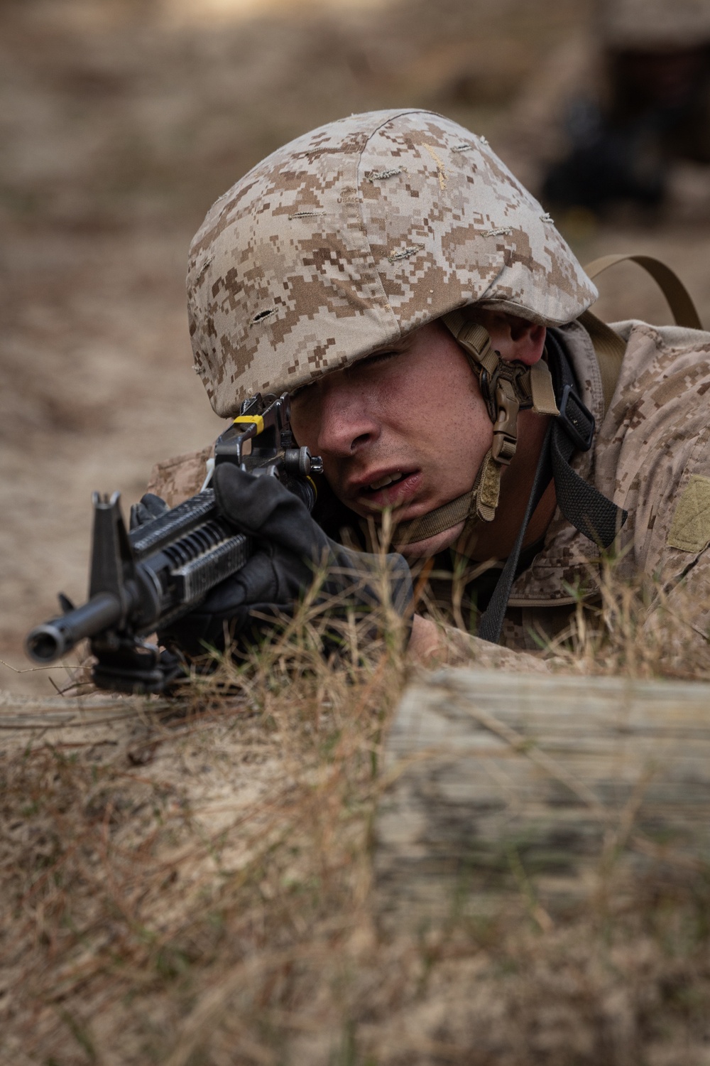 Hotel Company Day Movement Course