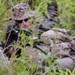 1-145th Armored Regiment cavalry scouts conduct reconnaissance during modernization training
