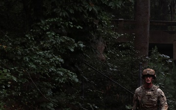 2025 YIP Seamless Carousel Graphic  slide 1