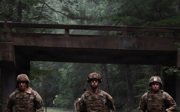 2025 YIP Seamless Carousel Graphic  slide 1