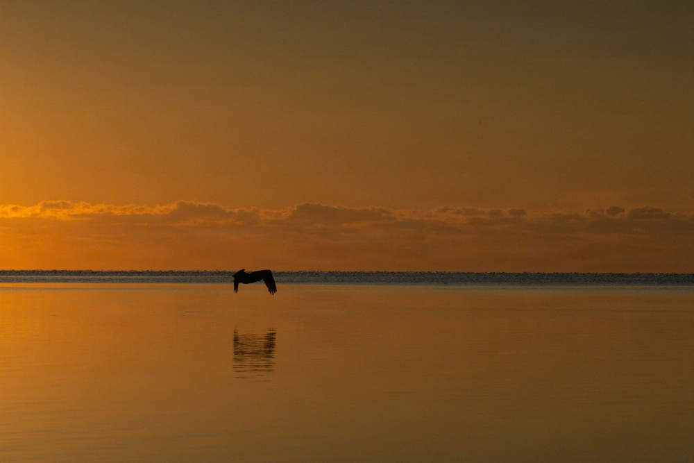 Biscayne Bay Coastal Wetlands Project