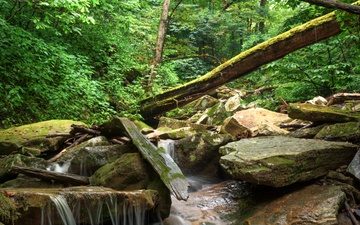 Wayne National Forest - Fly Gorge Special Area