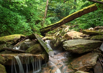 Wayne National Forest - Fly Gorge Special Area