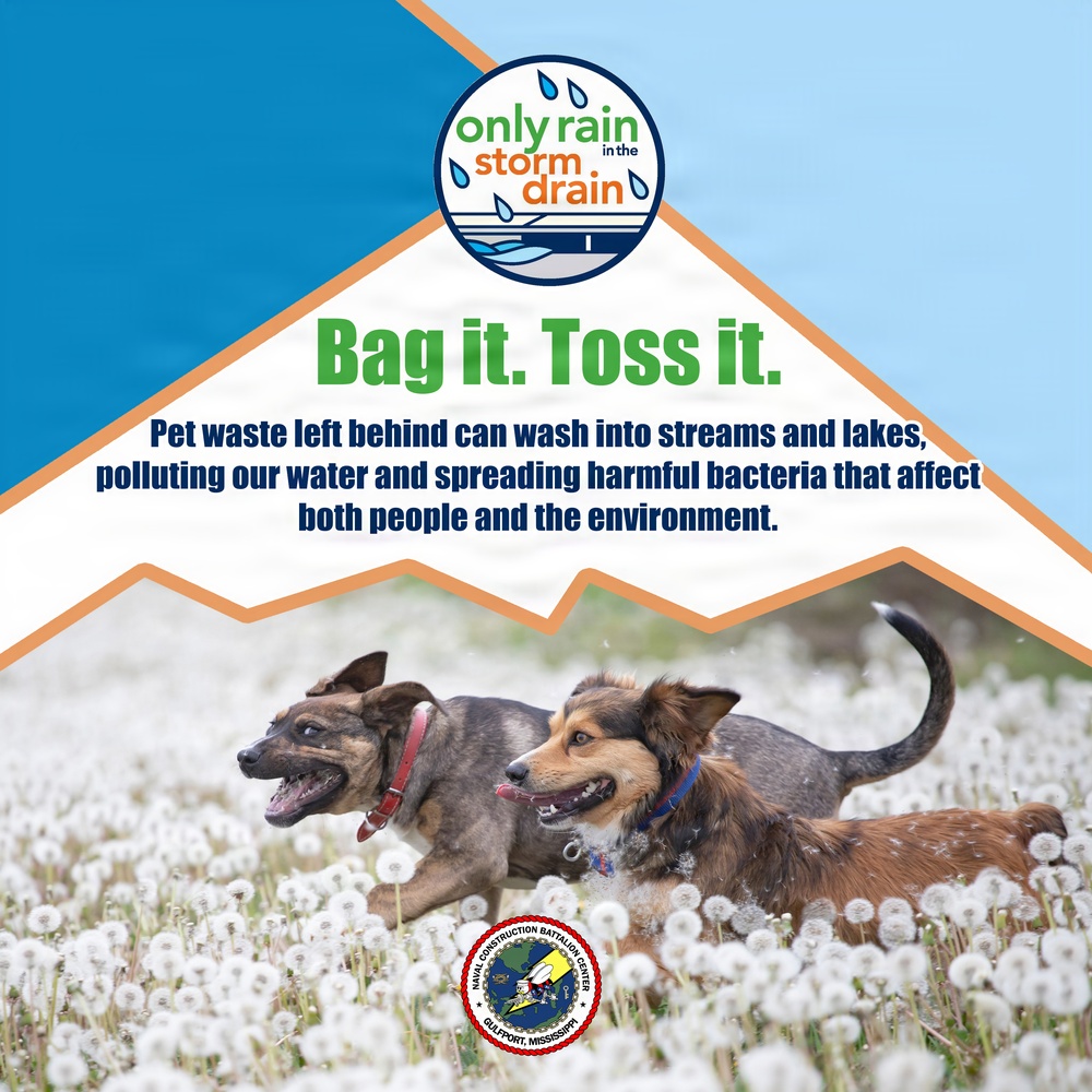 Pet Waste Doesn't Go in the Drain