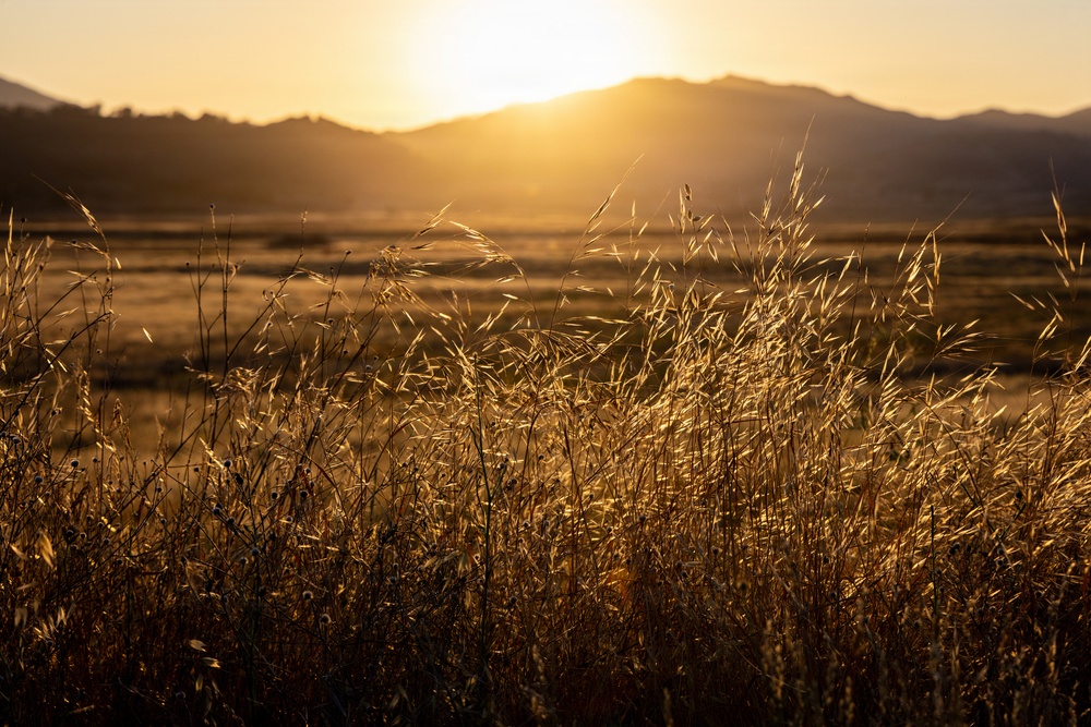 Military Police Take On Mojave Falcon 25