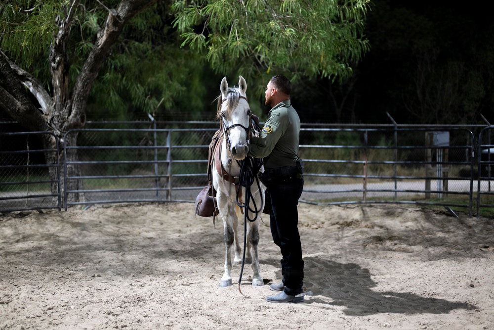 Border Patrol Horse Patrol Unit prepares for Rio Grande patrol