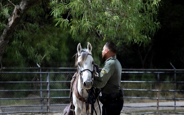 Border Patrol Horse Patrol Unit prepares for Rio Grande patrol