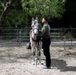 Border Patrol Horse Patrol Unit prepares for Rio Grande patrol