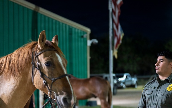 Border Patrol Horse Patrol Unit prepares for Rio Grande patrol