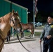 Border Patrol Horse Patrol Unit prepares for Rio Grande patrol