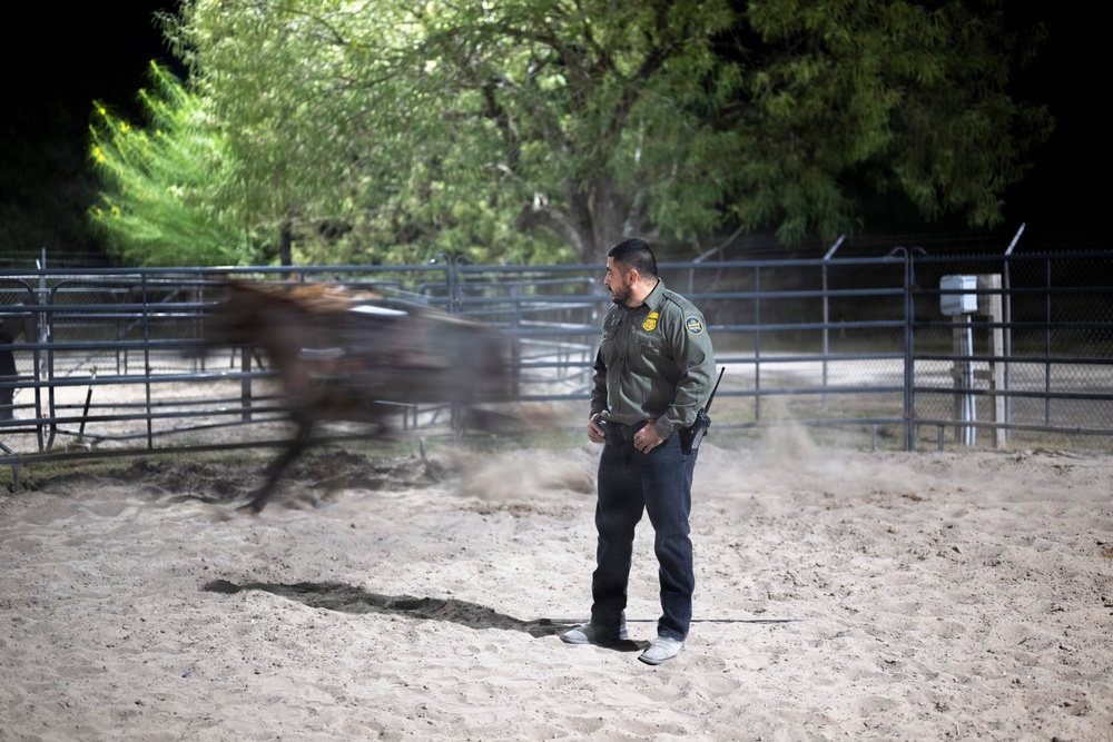 Border Patrol Horse Patrol Unit prepares for Rio Grande patrol