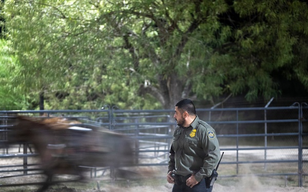 Border Patrol Horse Patrol Unit prepares for Rio Grande patrol