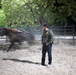 Border Patrol Horse Patrol Unit prepares for Rio Grande patrol