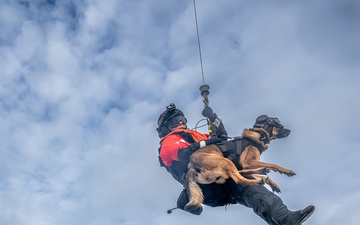 MSST K9 Training