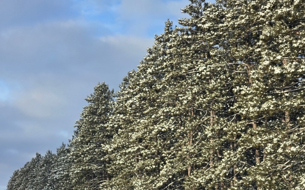 Winter at Fort McCoy