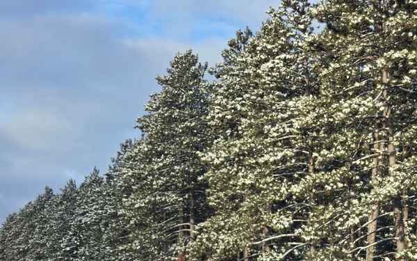 Winter at Fort McCoy