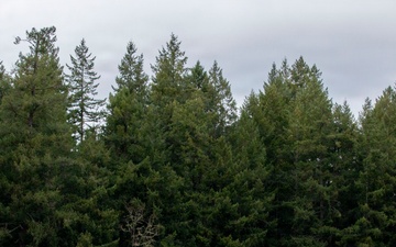 416th TEC Hosts NCO induction and Wet Bridge Crossing