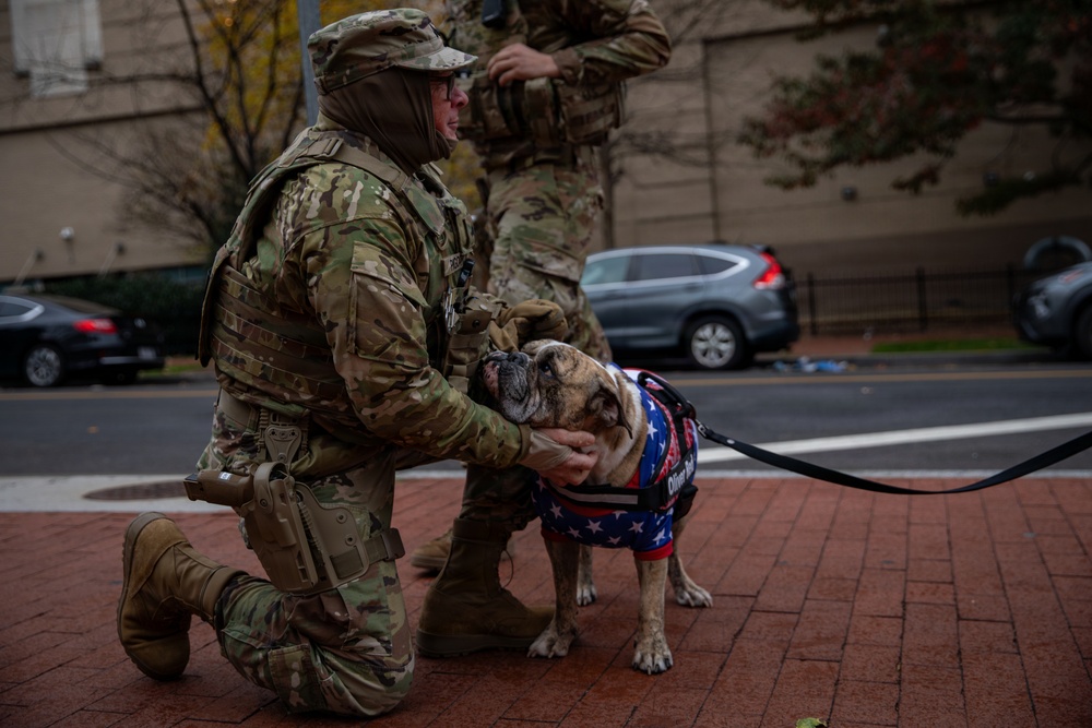 A Mississippi Army National Guard Soldier pets a dog in Washington, D.C.