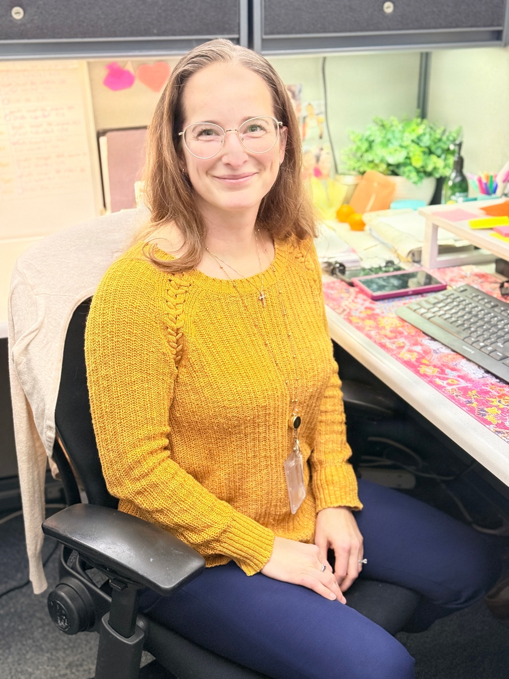 Sarah MacLean, Defense Logistics Agency Strategic Materials