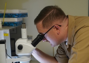 Faces of Readiness: HM2 Logan Pentz Supporting the Warfighter in Rota