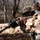 3rd Marine Logistics Group Participate in Komodo 26.2 Field Exercise 3rd Marine Logistics Group Participate in Komodo 26.2 Field Exercise