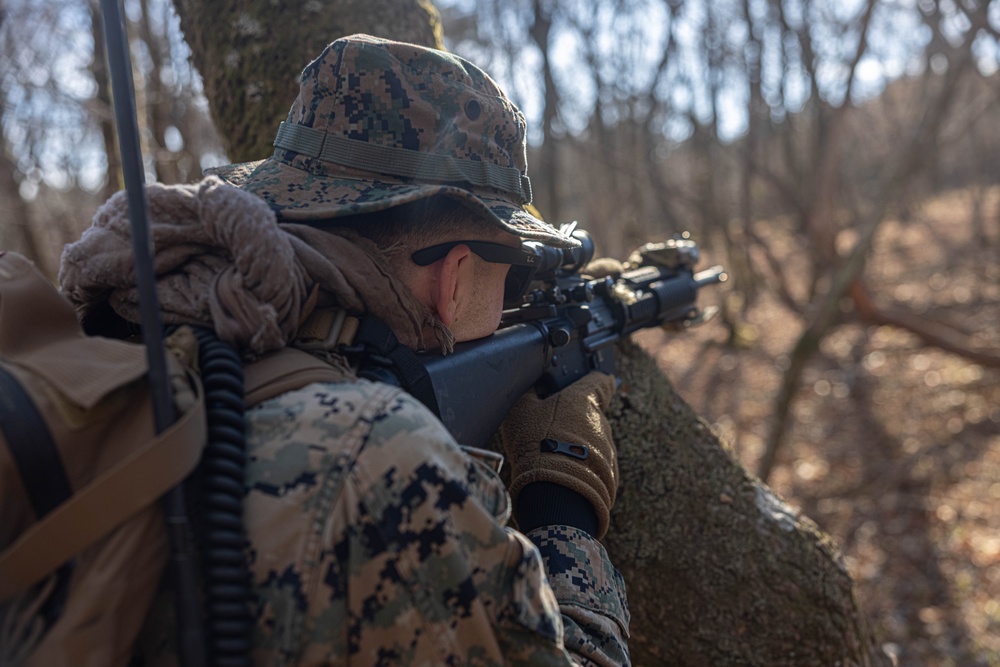 3rd Marine Logistics Group Participate in Komodo 26.2 Field Exercise