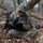 3rd Marine Logistics Group Participate in Komodo 26.2 Field Exercise 3rd Marine Logistics Group Participate in Komodo 26.2 Field Exercise