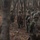 3rd Marine Logistics Group Participate in Komodo 26.2 Field Exercise 3rd Marine Logistics Group Participate in Komodo 26.2 Field Exercise