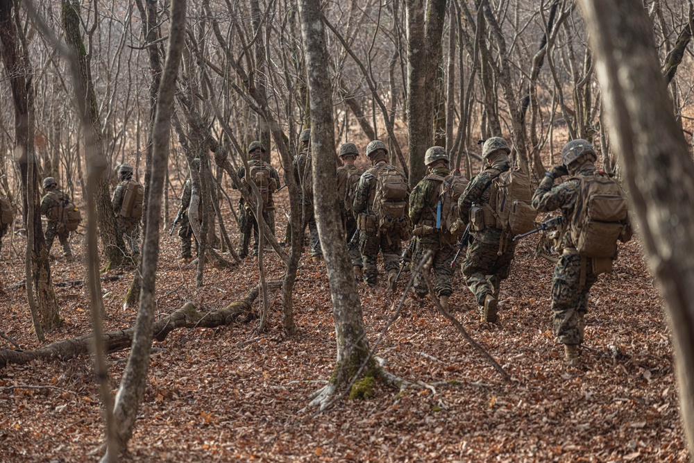 3rd Marine Logistics Group Participate in Komodo 26.2 Field Exercise