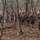 3rd Marine Logistics Group Participate in Komodo 26.2 Field Exercise 3rd Marine Logistics Group Participate in Komodo 26.2 Field Exercise