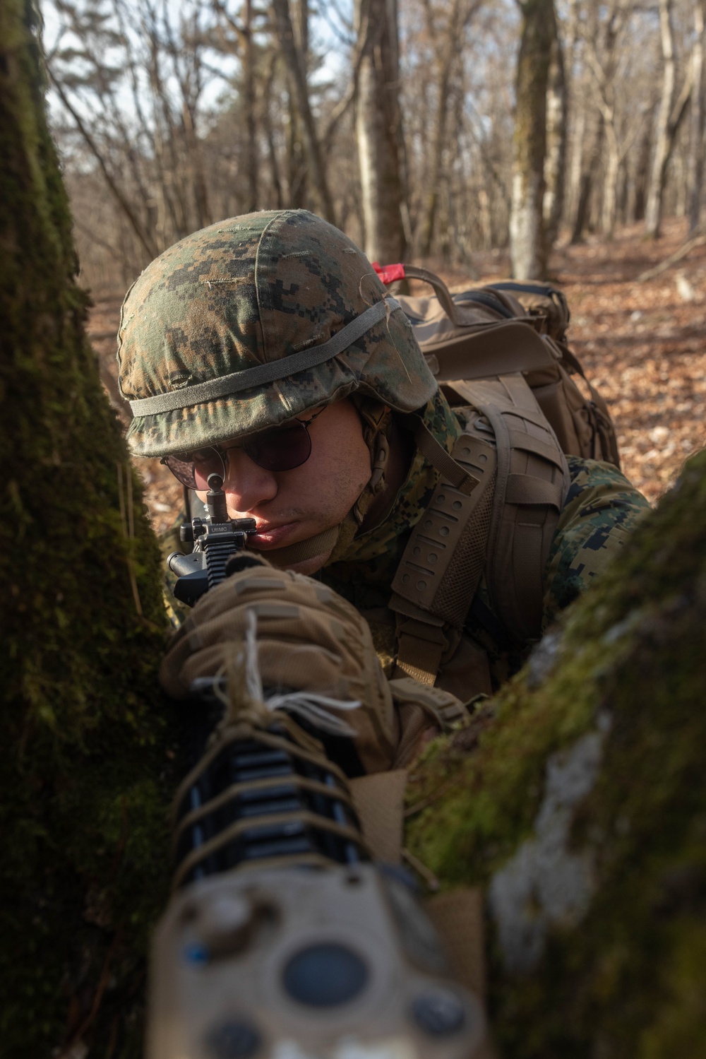 3rd Marine Logistics Group Participate in Komodo 26.2 Field Exercise