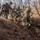 3rd Marine Logistics Group Participate in Komodo 26.2 Field Exercise 3rd Marine Logistics Group Participate in Komodo 26.2 Field Exercise