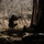 3rd Marine Logistics Group Participate in Komodo 26.2 Field Exercise 3rd Marine Logistics Group Participate in Komodo 26.2 Field Exercise
