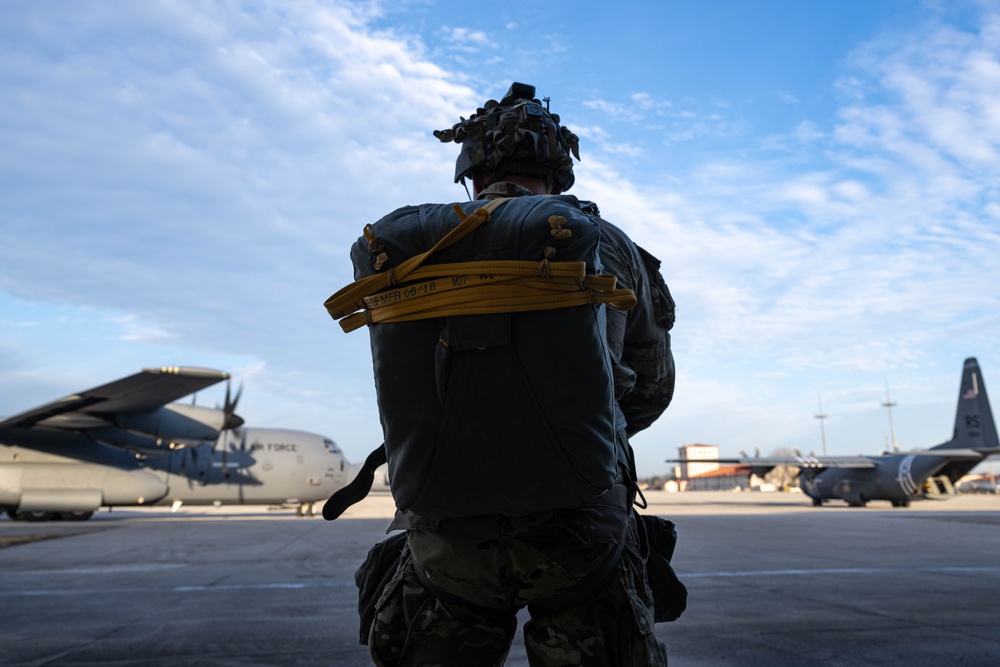 173rd AB jumps alongside NATO partners