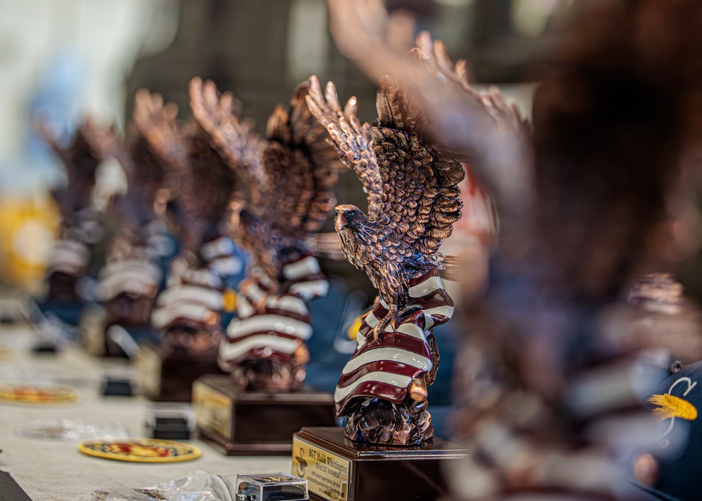 Sikorsky rescue awards recognizes DUSTOFF soldiers for their bravery