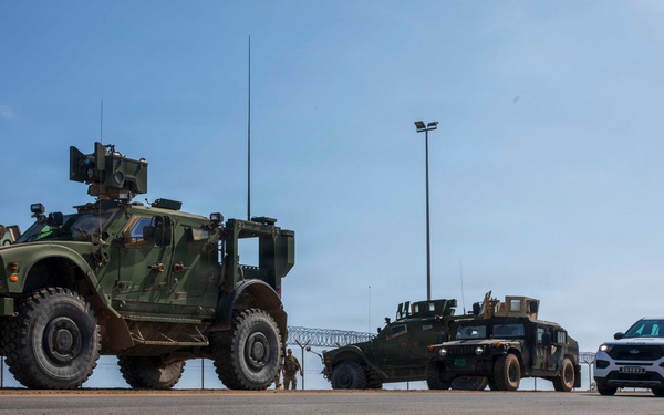 Pale Serpent - Mass Casualty Exercise