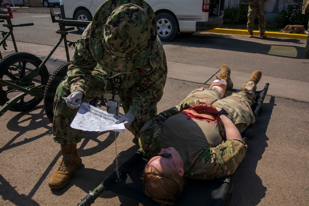 Pale Serpent - Mass Casualty Exercise
