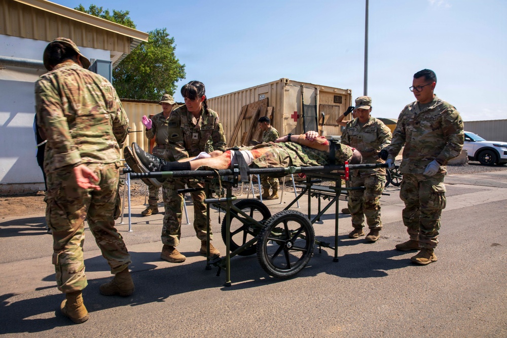 Pale Serpent - Mass Casualty Exercise