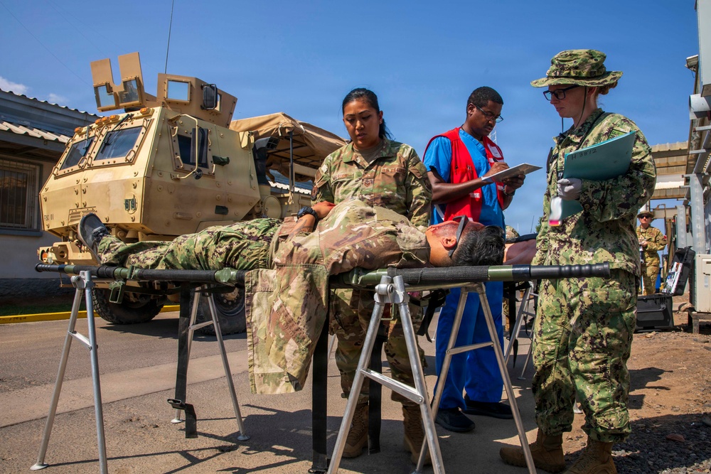 Pale Serpent - Mass Casualty Exercise