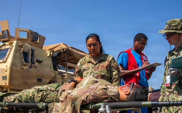 Pale Serpent - Mass Casualty Exercise