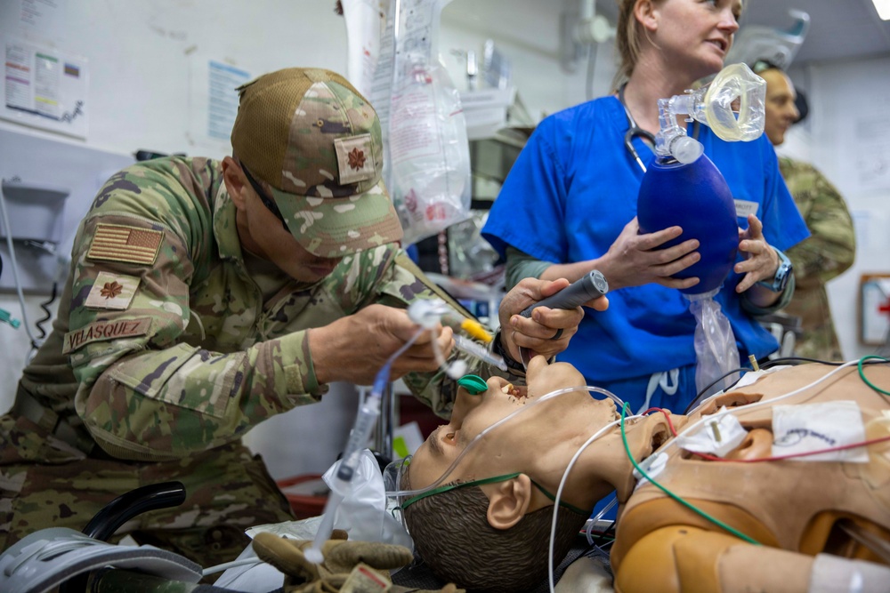 Pale Serpent - Mass Casualty Exercise