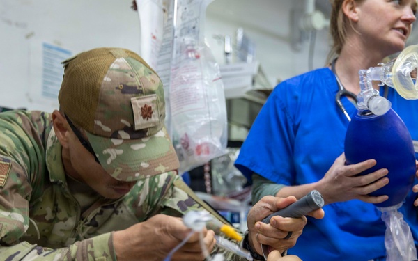 Pale Serpent - Mass Casualty Exercise