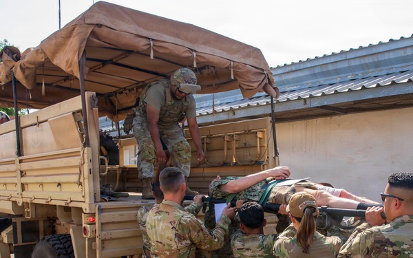 Pale Serpent - Mass Casualty Exercise